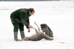 Killikus&reg; Fotographie